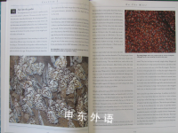 Megabugs: Natural History Museum Book of Insects