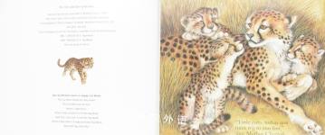 CATCH UP, LITTLE CHEETAH!