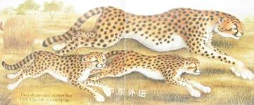 CATCH UP, LITTLE CHEETAH!
