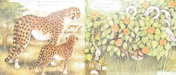 CATCH UP, LITTLE CHEETAH!