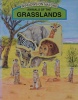 Animals of the Grasslands Windows on Nature