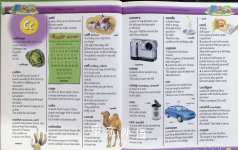 First Fun Dictionary