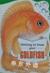 How to Keep Koi : An Essential Guide
 Gill Page