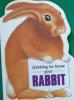 Getting to Know Your Rabbit