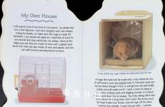 Getting to Know Your Hamster