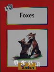 Foxes Jolly Learning Ltd