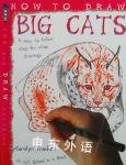 How to Draw Big Cats Carolyn Franklin