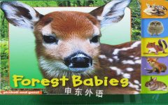 Forest Babies (Animal Tabs) Christiane Gunzi