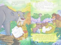 Disney Wonderful World of Reading：Disney The Jungle Book 