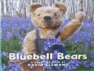 Bluebell Bears a Counting Book