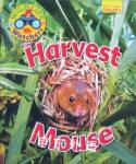 Wildlife Watchers: Harvest Mouse Ruth Owen