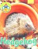 Wildlife Watchers: Hedgehog