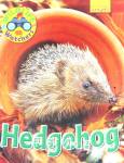 Wildlife Watchers: Hedgehog Ruth Owen