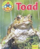 Wild Life Watchers:Toad