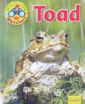 Wild Life Watchers:Toad Ruth Owen