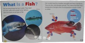 Fish  Living Things and Their Habitats