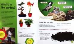 The Little Gardeners Guide