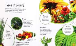 The Little Gardeners Guide