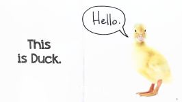 A Ride for Duck