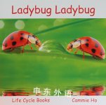 Ladybug Ladybug Cammie Ho