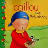 Caillou Goes Birdwatching