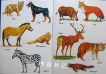 Know Your Wild Animals