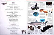 Illustrated Family Encyclopedia