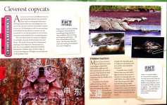 Explorer Guide Amazing Animals