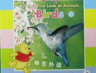 Disney: My very first look at animals birds Straight lines international Inc