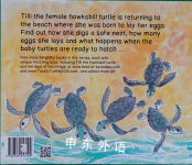 Turtle Tracks: The Tale of a Nesting Hawksbill Turtle (True Tales)